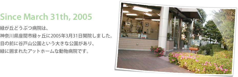 Since March 31th, 2005 緑が丘どうぶつ病院は、神奈川県座間市緑ヶ丘に2005年3月31日開院しました。目の前に谷戸山公園という大きな公園があり、緑に囲まれたアットホームな動物病院です。